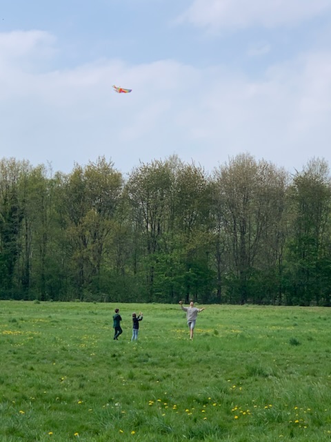 Huidig speelveld
